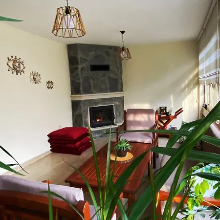 Cozy With Backyard And Fireplace In سبانجا