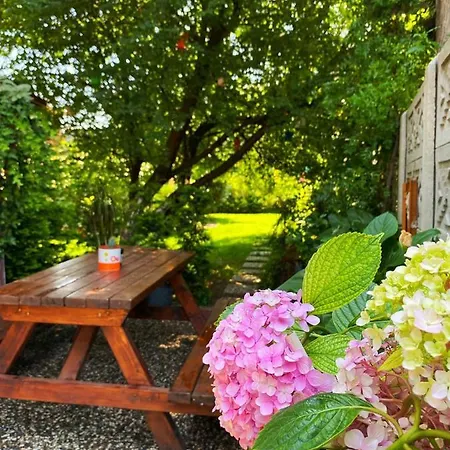 فيلة Cozy With Backyard And Fireplace In سبانجا