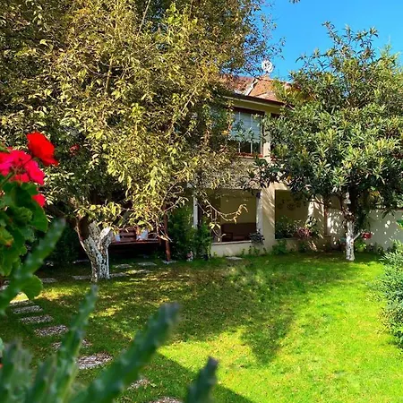 Cozy With Backyard And Fireplace In *