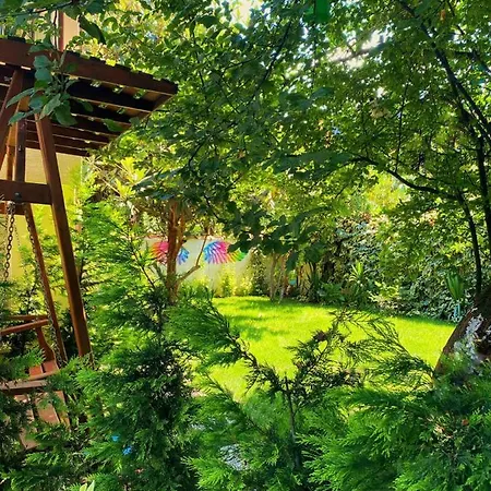 Cozy With Backyard And Fireplace In سبانجا