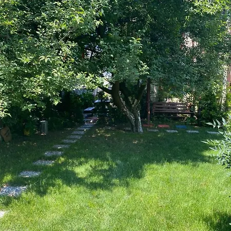 فيلة Cozy With Backyard And Fireplace In سبانجا